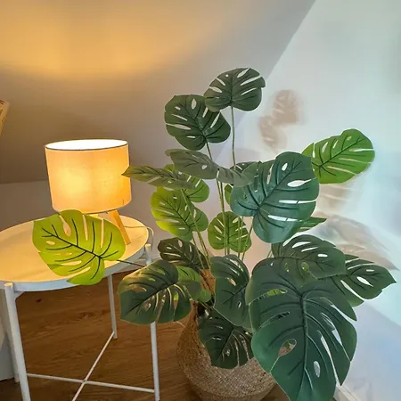 Ruheoase Unterm Dach Alloggio in famiglia