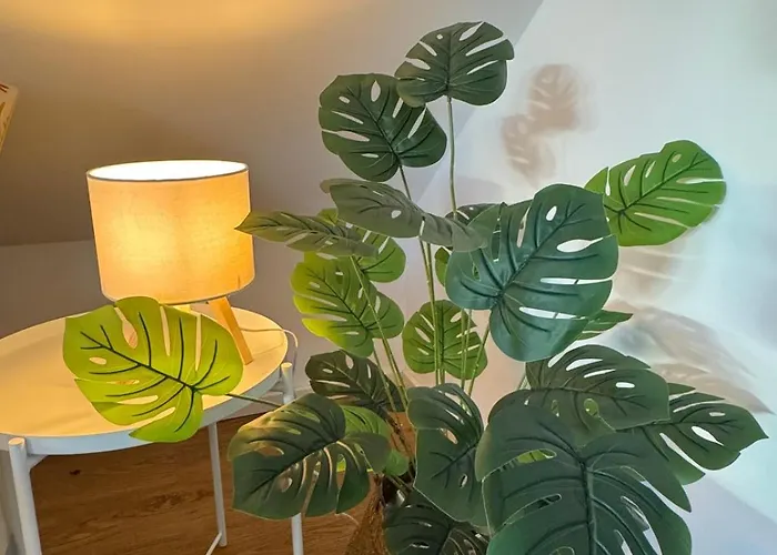 Ruheoase Unterm Dach Séjour chez l'habitant